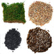 TerraGreen Creations Succulent Planter Kit - Terrarium Kit with Succulent Soil, Gravel, Pebble, Moss,
