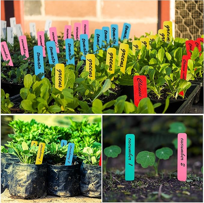 Plant Labels 500Pcs 4 Inch Plastic Plant Name Tags for Seedlings Garden Labels Markers Nursery Plant Tags Seed Labels for Outdoor Garden Plant Label Stakes with Permanet Marking Pen (Mix-Color)