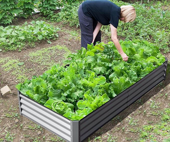 Domi Galvanized Raised Garden Bed, Outdoor Planter Garden Boxes Large Metal Planter Box for Gardening Vegetables Fruits Flowers, Silvery (8x4x1ft)