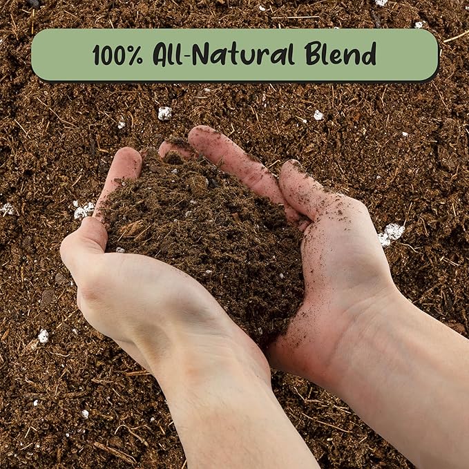 Soil Sunrise Monstera Houseplant Potting Soil Mix (12 Quarts) Custom Blend for Growing and Repotting
