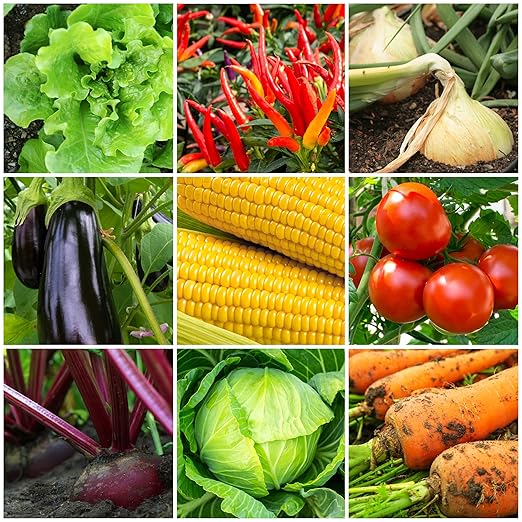 The Old Farmer's Almanac Organic Tomato & Vegetable Plant Food Fertilizer