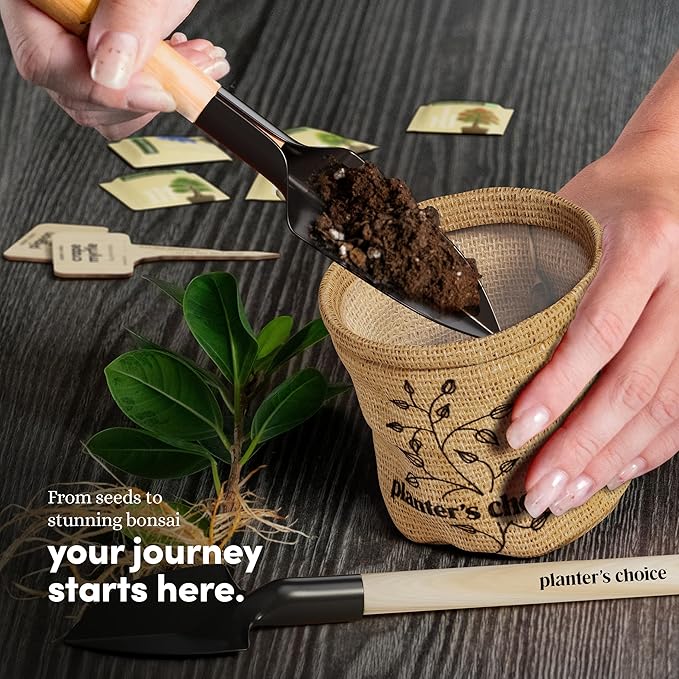 Planter's Choice Bonsai Tree Starter Kit - Unique Gifts for Women, Men - Birthday Gifts for Adults - Indoor Live House Plants - DIY Crafts for Adults Craft Kits - Hobby Gift for Gardening Lovers