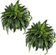 NeosCA Giant Artificial Boston Ferns for Outdoors Large – UV Resistant Lifelike Faux Fern, Realistic Silk Greenery Plants Large Office, Home Decor, 2pack 88 Branches, 48 Inch Fake Fern Natural Green