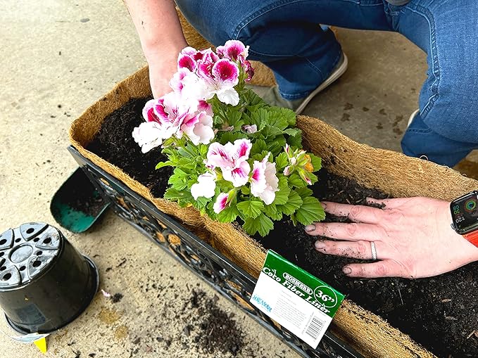 Bosmere Pre-Formed Coco Liner with Soil Moist – 48-Inch Replacement Liner for Window Boxes & Hanging Baskets