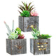 Kinkota Fake Plants Succulent Plants Artificial in Pots with LED Lights