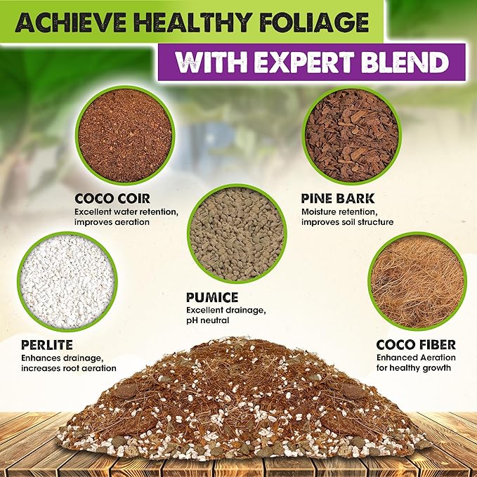 DUSPRO Recycle Fiddle Leaf Fig Soil Specialized for Fiddle Leaf Fig Plant Indoor 5-in-1 Pre-Mixed with Coco Coir, Coconut Fiber, Perlite, Pumice, Pine Bark Ready-to-Use Handmade Mix Drainage 10 QRT