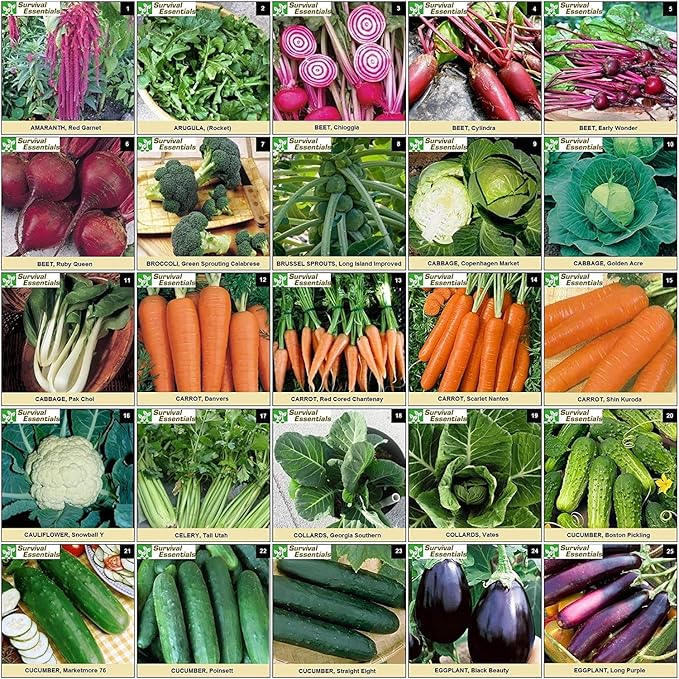 Garden Heirloom Seed Vault, 100 Variety, Over 17,500 Vegetable, Fruit, and Herbs Seeds, Non-GMO, Non-Hybrid, Plus Free Microgreens Kit