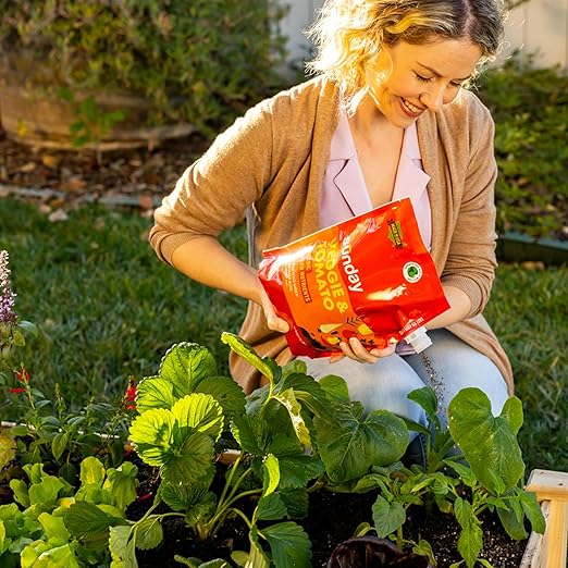 Sunday Garden Naturals Veggie + Tomato Plant Food Mix - Boost Growth in Vegetables, Tomatoes & Herbs - 5-4-4 NPK Mix - for Indoor & Outdoor Use - Feeds for 4-6 Weeks - 2 Pack, 2lb Mix