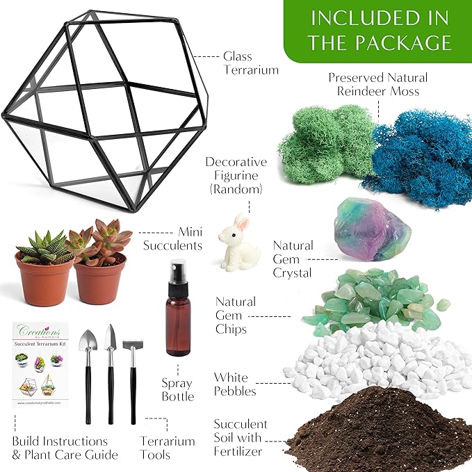 Creations by Nathalie DIY 7" Geometric Terrarium Kit with Live Plants - Build Your Own Glass Terrarium for Adults & Kids with Moss, Crystals, Tools & Decor - Mini Ecosystem - Handcrafted in The USA
