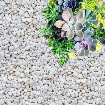 GARDENWISE Perlite for Plants, Coarse and Chunky Horticultural Perlite, Organic Perlite for Gardening Indoor & Outdoor, Perlite Bulk Bag, Made in USA (20 quarts)