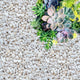 GARDENWISE Perlite for Plants, Coarse and Chunky Horticultural Perlite, Organic Perlite for Gardening Indoor & Outdoor, Perlite Bulk Bag, Made in USA (20 quarts)