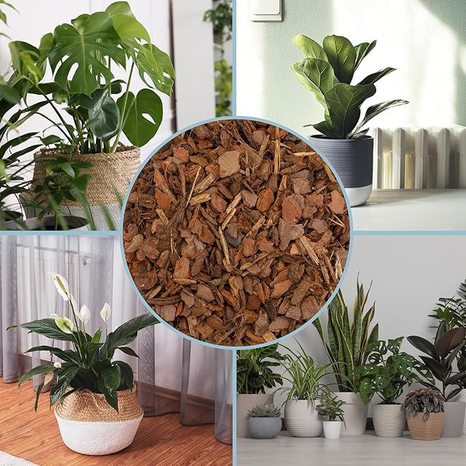 100% Natural Pine Bark Mulch Nuggets (8 Quarts), Small Mulch Chips for Indoor/Outdoor Container Gardening, Ideal for Soil Supplement, Houseplant Mulch