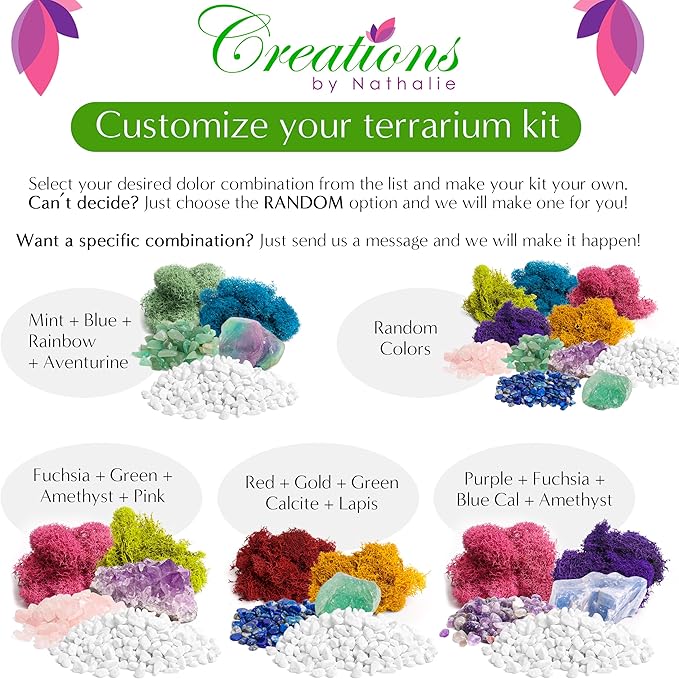 Creations by Nathalie - Plant Terrarium Kit W/Live Succulent (Fresh from Florida), Choose Your Glass DIY Terrarium Starter Kit for Adults, Metal Stand, Reindeer Moss, Crystal & Rocks, Tools, Figurine
