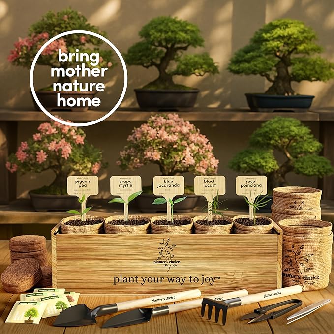 Planter's Choice Bonsai Tree Starter Kit - Unique Gifts for Women, Men - Birthday Gifts for Adults - Indoor Live House Plants - DIY Crafts for Adults Craft Kits - Hobby Gift for Gardening Lovers