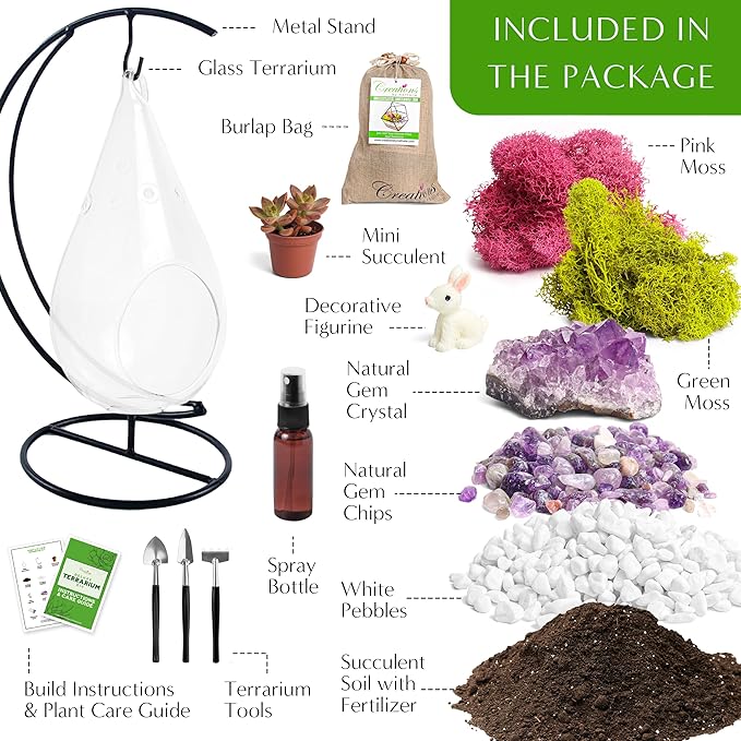Creations by Nathalie - Plant Terrarium Kit W/Live Succulent (Fresh from Florida), Choose Your Glass DIY Terrarium Starter Kit for Adults, Metal Stand, Reindeer Moss, Crystal & Rocks, Tools, Figurine