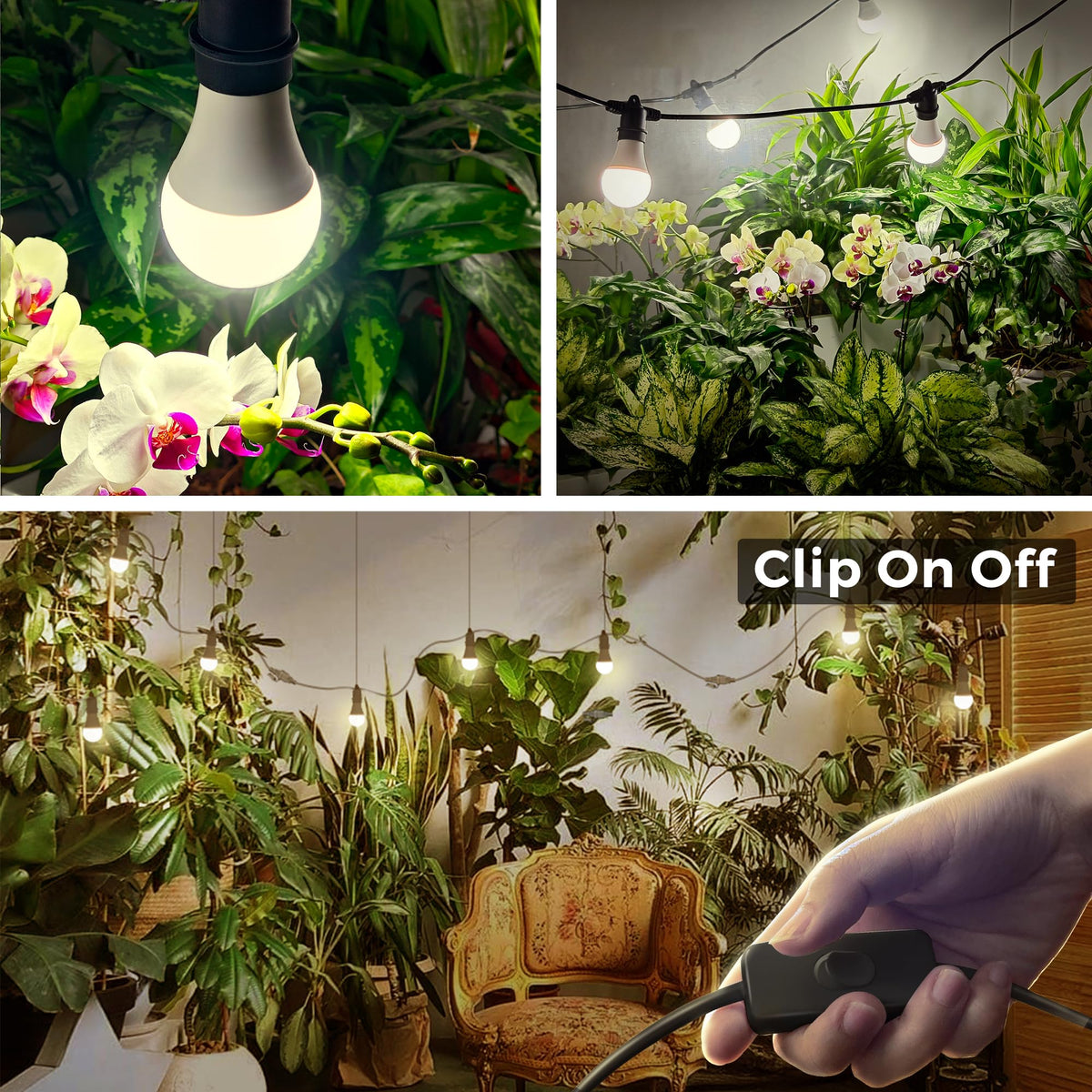 Briignite Hanging Grow Light, 3 Grow Light Bulbs with 8.86ft Power Cord