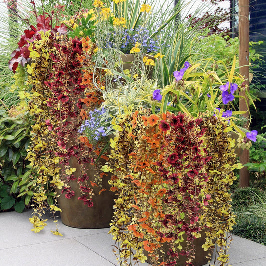FineCheer 6 Pcs Fall Artificial Hanging Flowers Outdoor, Retro Color