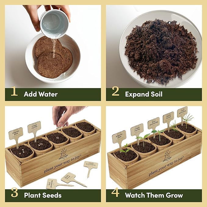 Planter's Choice Bonsai Tree Starter Kit - Unique Gifts for Women, Men - Birthday Gifts for Adults - Indoor Live House Plants - DIY Crafts for Adults Craft Kits - Hobby Gift for Gardening Lovers