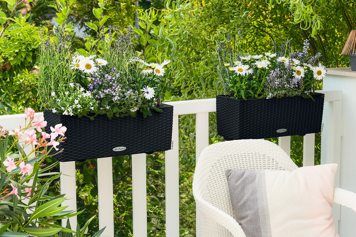 Lechuza BALCONERA Cottage 50 Graphite Black, Self-Watering Window Box (Railing Planter), H7.5 L19.7 W7.5 in