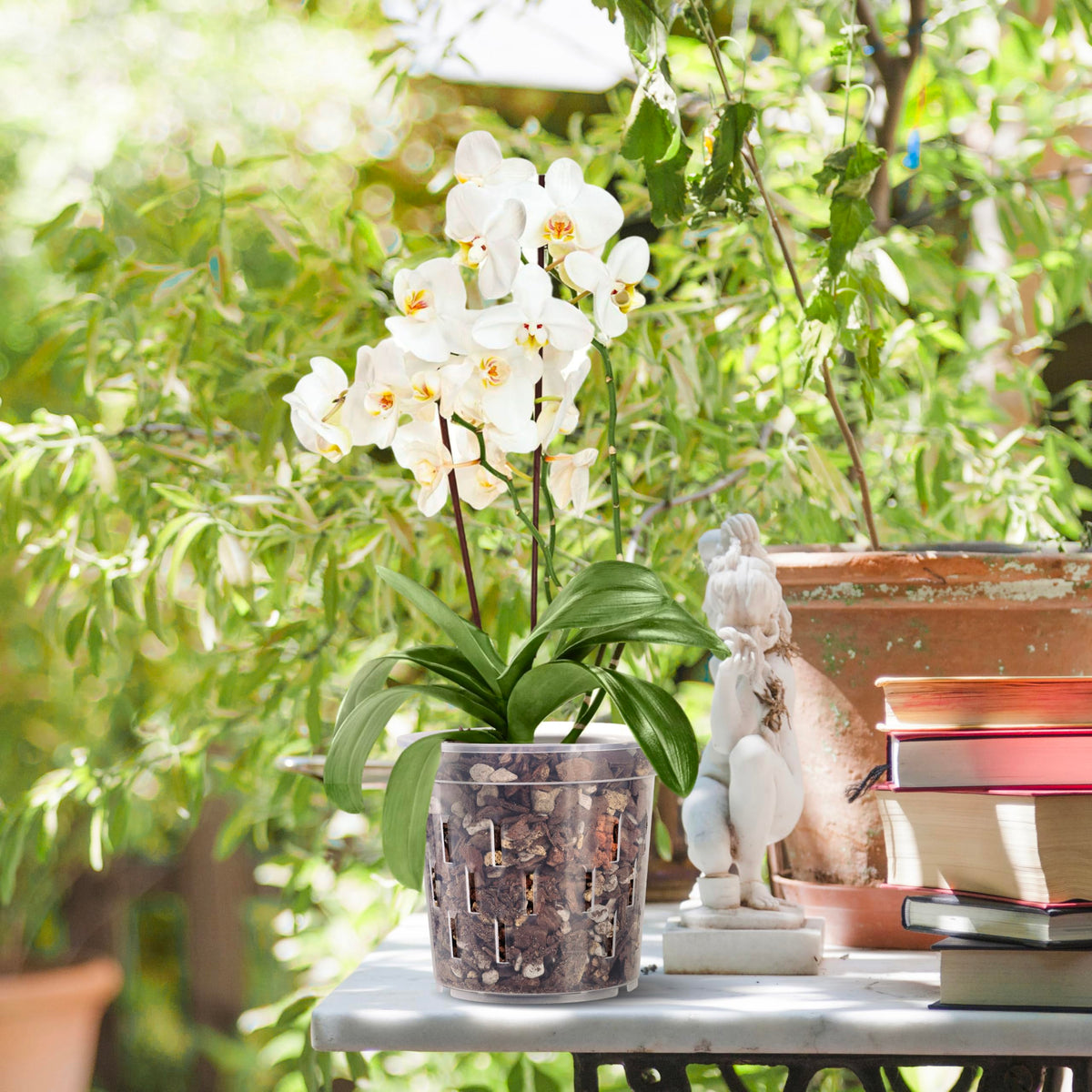 TRUEDAYS Orchid Pot, 4 Pack 6 Inch Plant Pot with Drainage