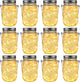 GIGALUMI Solar Mason Jar Lights, 12 Pack 30 Led String Fairy Lights Garden Lights Outdoor Waterproof Metal Lid Hanging Solar Lanterns for Outdoor, Garden, Patio, Lawn, Balcony Decoration