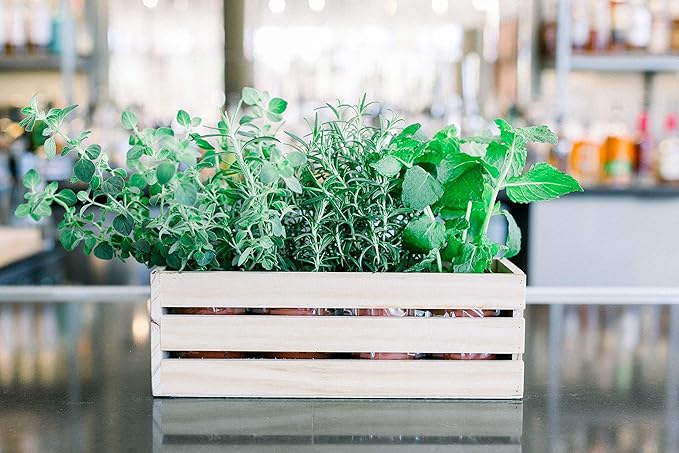 Wood Planter Box with Wine Crate Styled, 12x4 Inch Rectangular, Rose Wood, Plastic Liner, Garden Centerpiece Display, Wedding Flowers Holder, Home and Venue Decor (12x4 Wine Crate Set of 4, Rose Wood)