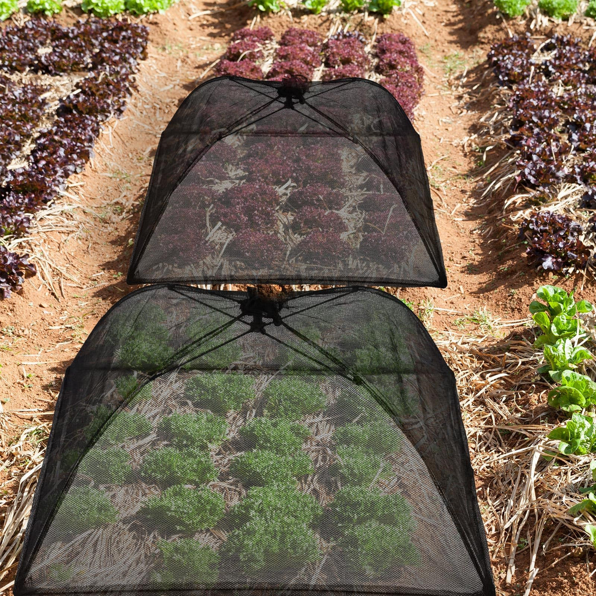 Sawysine 4 Pack Mesh Plant Cover Dome Tent Protector,17 X 17 Inch,Black
