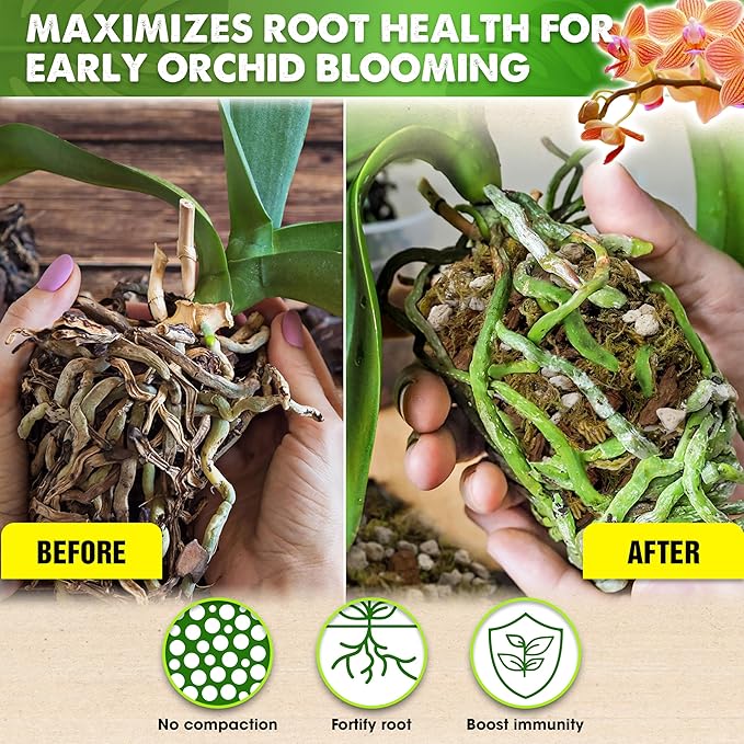 [Upgraded] DUSPRO Orchid Potting Mix for Repotting with Forest Moss, Pine Bark, Perlite & Pumice Natural Ingredients, Orchid Bark Potting Mix, Orchid Repotting Kit Drainage Indoor Potting Medium 2QT