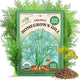 Seedboy Organic Dill Seeds for Planting Indoor and Outdoor, Non-GMO and USDA Certified Herb Seed Packet for Hydroponic Garden Indoor or Planting Outdoors (Bouquet Dill)