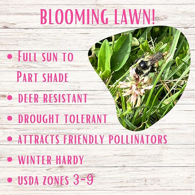 Flawn Seed Kits Dutch White Clover Seeds Organic Coated, 11 Lbs, Natural Lawn, Ground Cover, Hunting Food Plot, Covers up to 40,000 Sqft