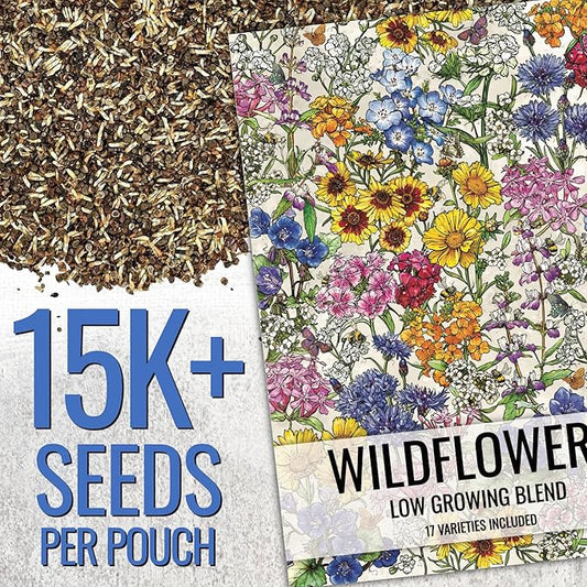 Seed Needs Low Growing Wildflower Flower Seeds for Planting | 1 Ounce Mixture/Blend 17 Varieties | Resealable Package Multicolored Blooms Open Pollinated Mixed Species | Bulk