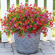 INXUGAO Artificial Fake Flowers Plants for Outdoor Spring Summer Decor, 12 Bundles Faux Silk Flowers for Outdoor Outside Planter Colorful Daisy UV Resistant Look Real for Front Door Porch Patio Yard
