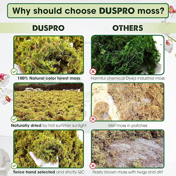 DUSPRO Big Bag Dried Forest Moss for Plant Propagation Sphagnum Moss Bulk for Orchid Repotting Mix Organic Soil Medium Bale Premium Hand Selected (5 LBS)