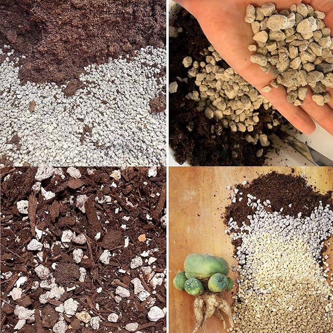 Horticultural Pumice for Plants Professional Sifted (20QT, 1/2 inch)