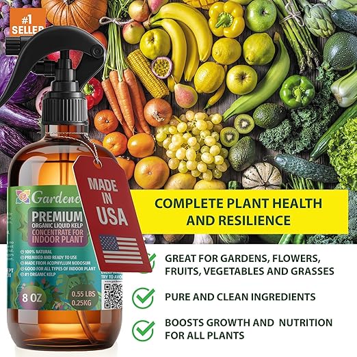 GARDENERA Professional Organic Liquid Kelp Spray for Spider Plant Plants - 8 oz - Ready-to-Use Fully Organic Seaweed & Kelp Fertilizer Mist