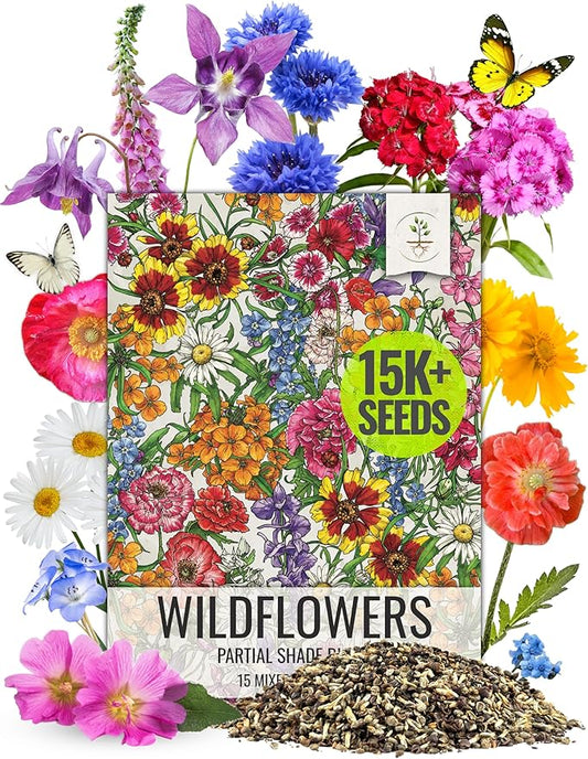 Seed Needs Partial Shade Wildflower Seed Mix for Planting | 1 Ounce 14+ Varieties Open Pollinated Annual & Perennial Species | Flower Seeds Shade Tolerant | Bulk