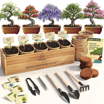 Planter's Choice Bonsai Tree Starter Kit - Unique Gifts for Women, Men - Birthday Gifts for Adults - Indoor Live House Plants - DIY Crafts for Adults Craft Kits - Hobby Gift for Gardening Lovers