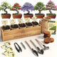Planter's Choice Bonsai Tree Starter Kit - Unique Gifts for Women, Men - Birthday Gifts for Adults - Indoor Live House Plants - DIY Crafts for Adults Craft Kits - Hobby Gift for Gardening Lovers