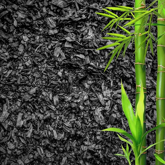 GARDENWISE Horticultural Charcoal for Plants – Organic Bio Char Soil Amendment for Terrariums, Indoor Plants & Gardening, Made in USA (3 quarts)