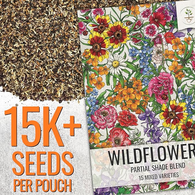 Seed Needs Partial Shade Wildflower Seed Mix for Planting | 1 Ounce 14+ Varieties Open Pollinated Annual & Perennial Species | Flower Seeds Shade Tolerant | Bulk