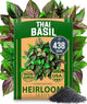 HOME GROWN Thai Basil Seeds Pack - 438 High Germination Heirloom Herb Seeds for Planting,Ideal for Growing Fresh Basil Planting Indoor or Outdoor(Ocimum basilicum VAR.thyrsiflora)