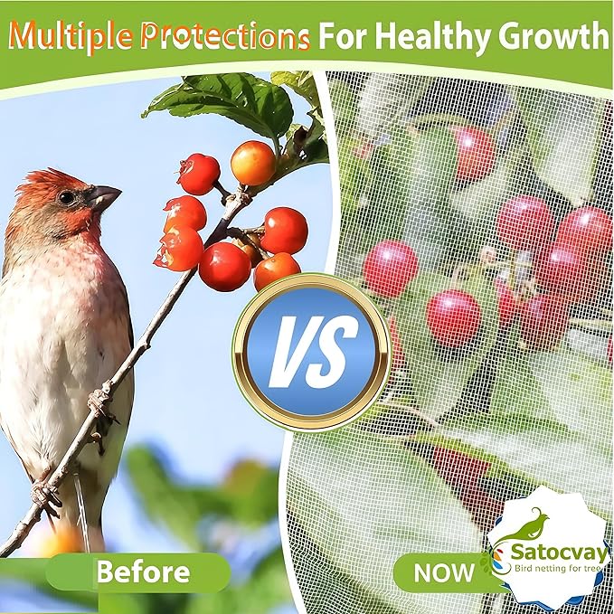 Fruit Tree Netting with Drawstring & Zipper - 3 Pack 6x7.2 FT - Reusable Plant Protection Bag, Heavy Duty PE Mesh Cover for Blueberry Bushes - Blocks Birds/Deer/Squirrels