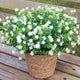 BCBLF Artificial Flowers for Outdoors, Outdoor Faux Plants, 12 Bundles UV Resistant Realistic, Faux Flowers for Outdoor Planters, Spring Summer Home Garden Decoration, White