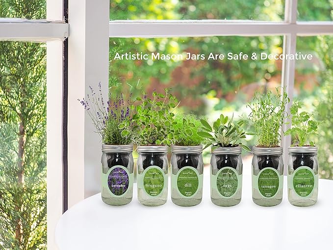 Environet Hydroponic Herb Growing Kit Set, Self-Watering Mason Jar Herb Garden Starter Kit Indoor, Windowsill Herbs Garden, Grow Your Own Herbs from Organic Seeds (Basil, Mint, Parsley)