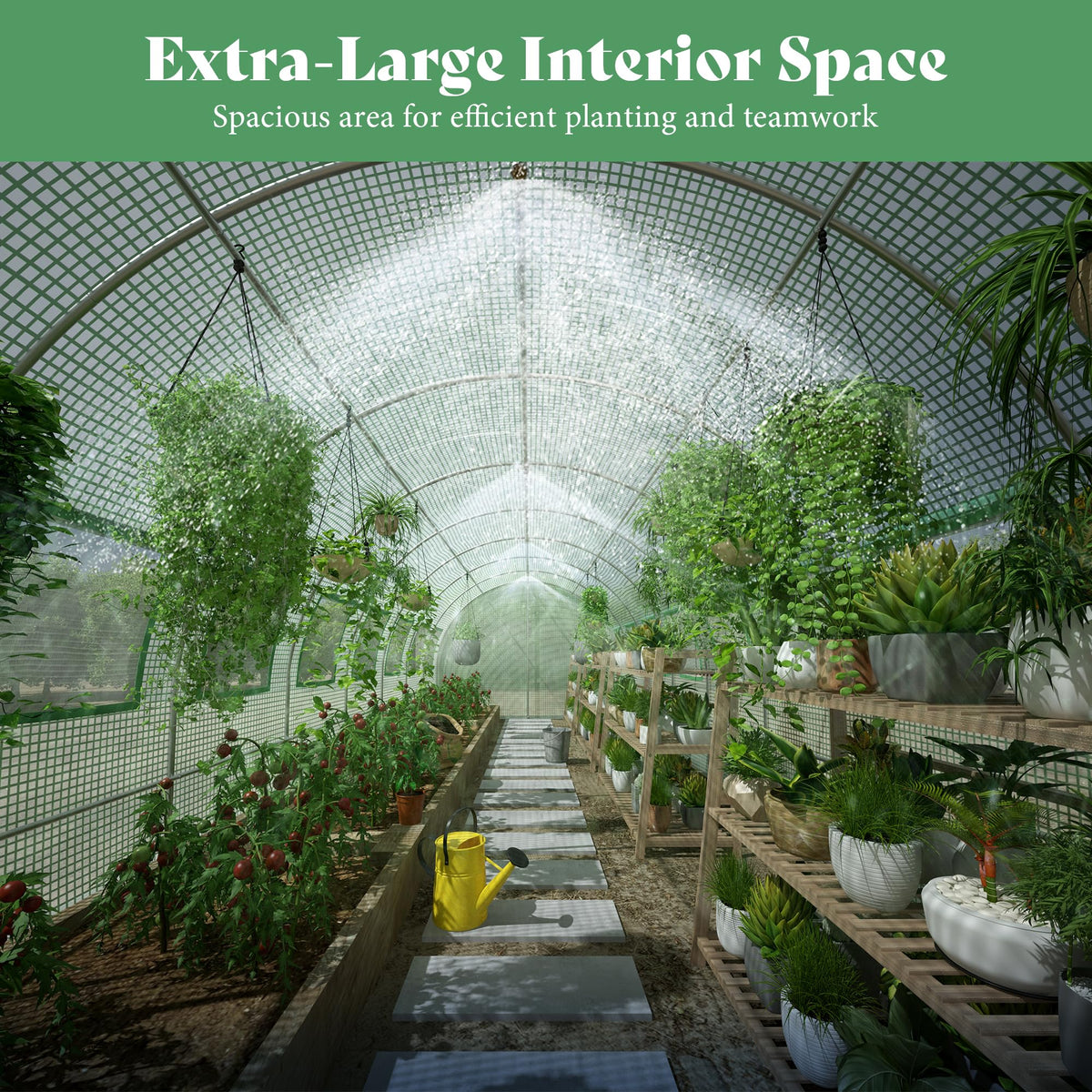 AMERLIFE 30×10 FT Walk-in Tunnel Greenhouse Cover (Frame NOT Included)