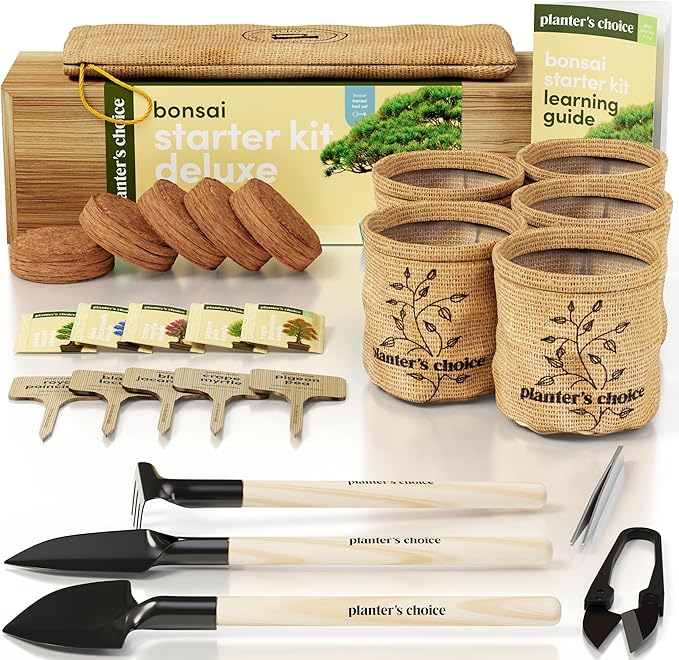 Planter's Choice Bonsai Tree Starter Kit - Unique Gifts for Women, Men - Birthday Gifts for Adults - Indoor Live House Plants - DIY Crafts for Adults Craft Kits - Hobby Gift for Gardening Lovers