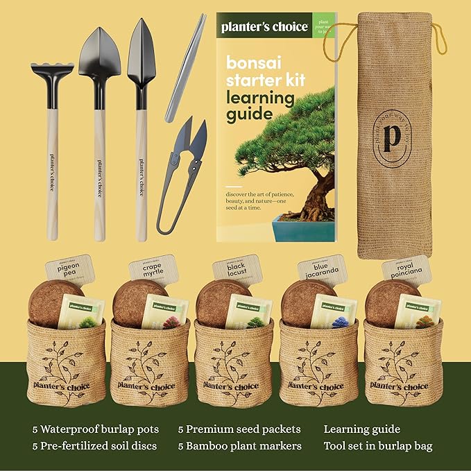 Planter's Choice Bonsai Tree Starter Kit - Unique Gifts for Women, Men - Birthday Gifts for Adults - Indoor Live House Plants - DIY Crafts for Adults Craft Kits - Hobby Gift for Gardening Lovers