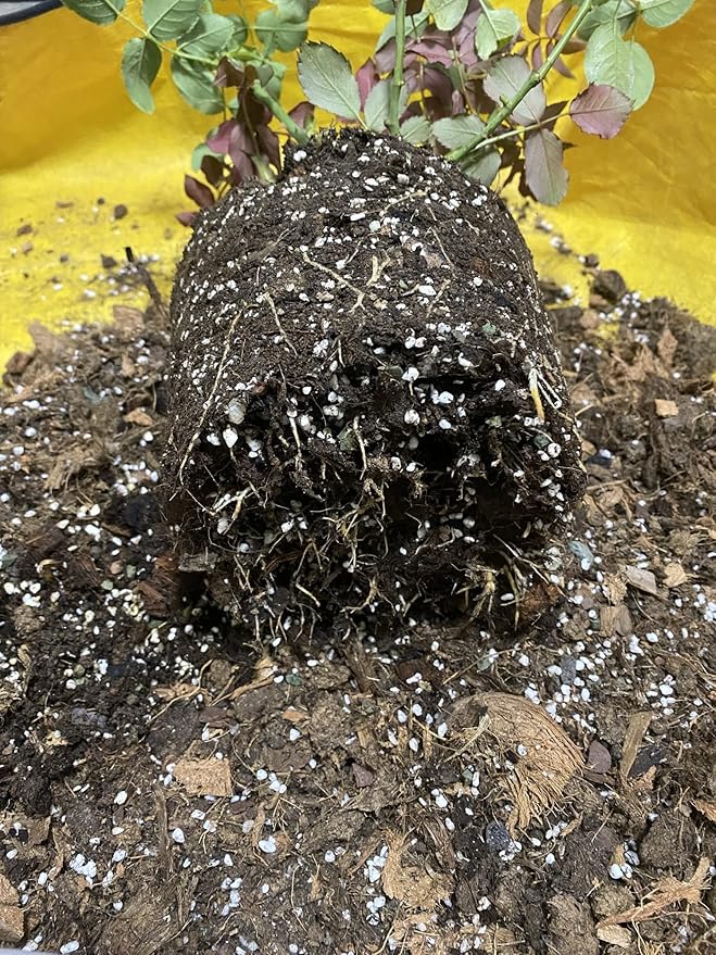 30QT Organic Perlite Horticultural Soil Amendment for Plants and Enhanced Drainage Enhanced
