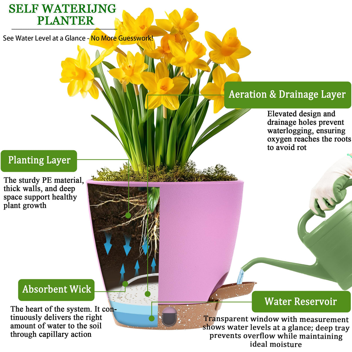 Fielda 6 Inch Small Self Watering Pots for Indoor Outdoor Plants,5-Pack