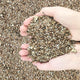 Organic Vermiculite Granules for Plants and Gardening(Vermiculite, 12QT)